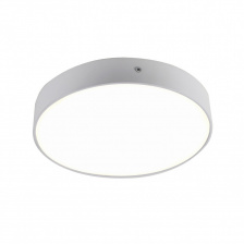 Потолочный светильник Flashled 2065-30C